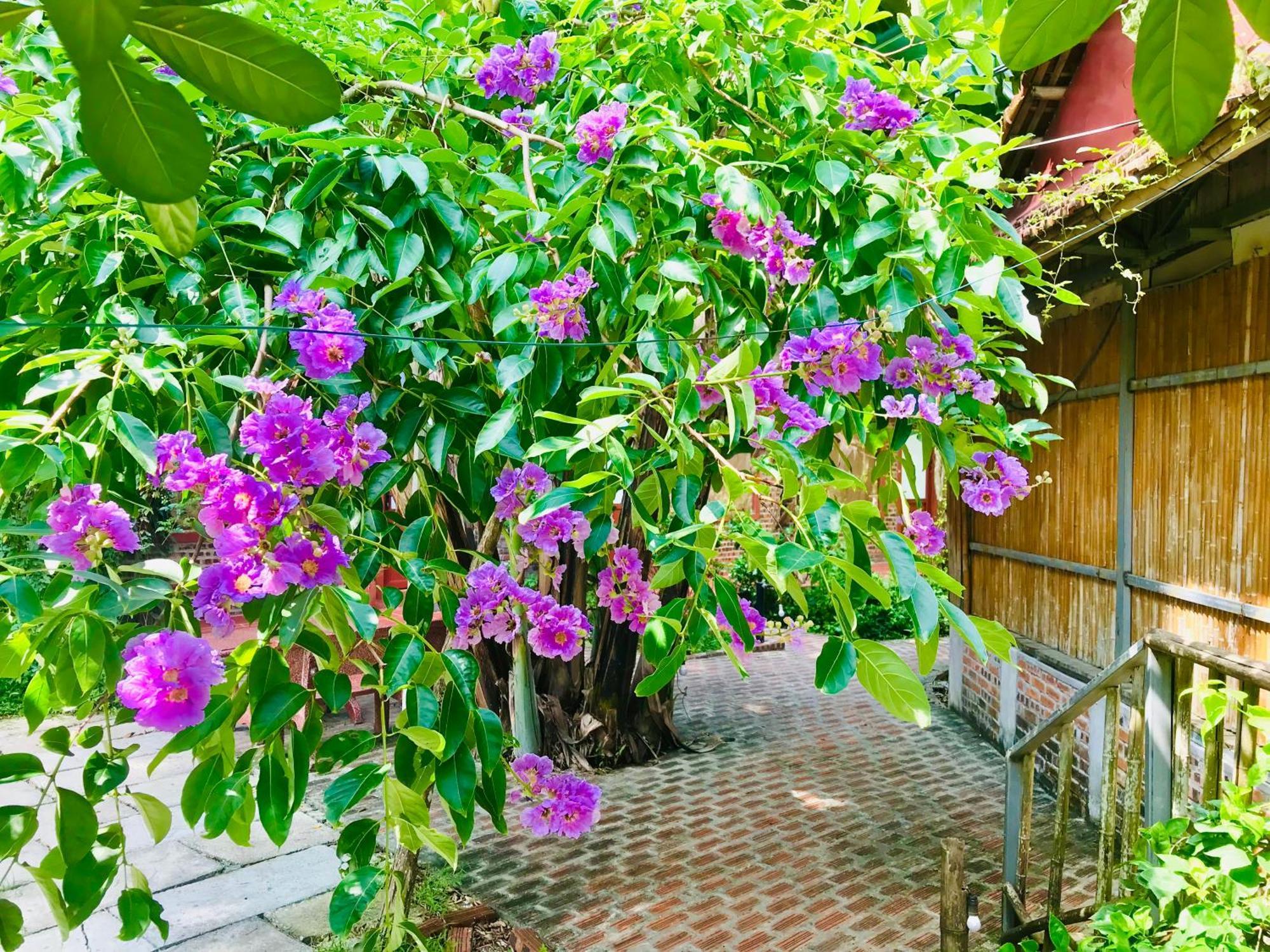 Lake Retreat Ninh Bình Exteriör bild