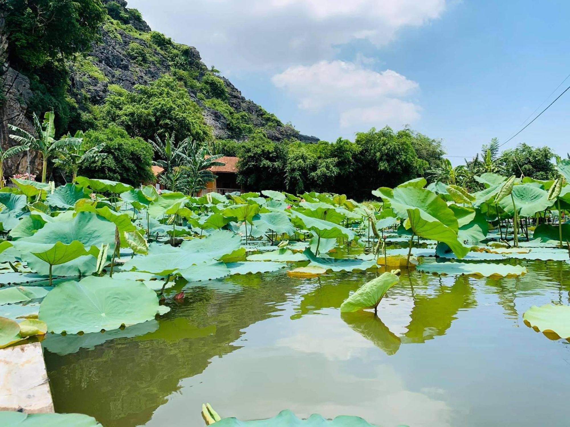 Lake Retreat Ninh Bình Exteriör bild